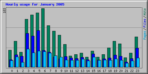 Hourly usage for January 2005