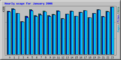 Hourly usage for January 2006